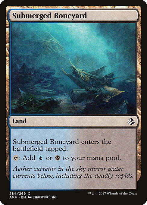 Submerged Boneyard