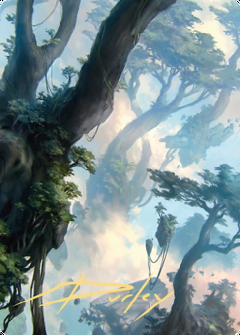Forest 1 (Art Card)