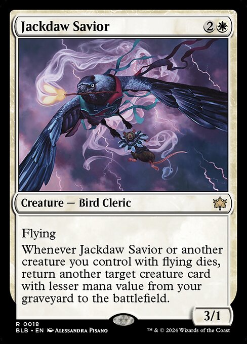 Jackdaw Savior