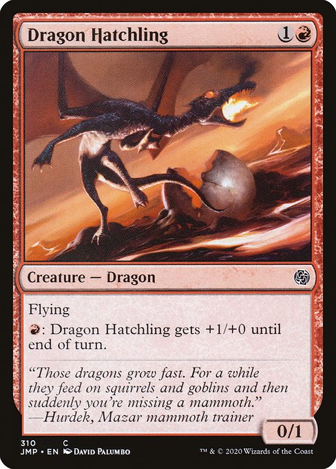 Dragon Hatchling