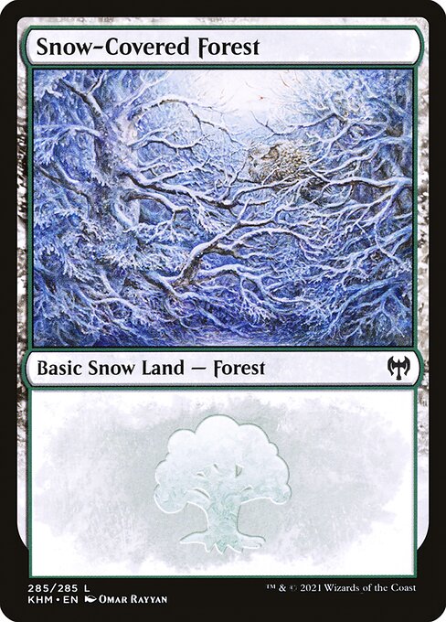 Snow-Covered Forest