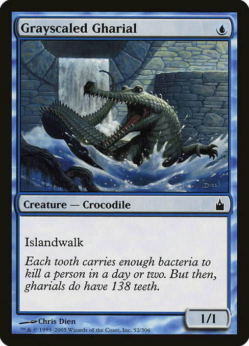 Grayscaled Gharial