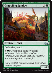 Grappling Sundew